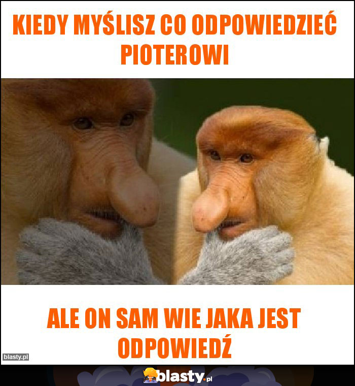 Kiedy myślisz co odpowiedzieć Pioterowi