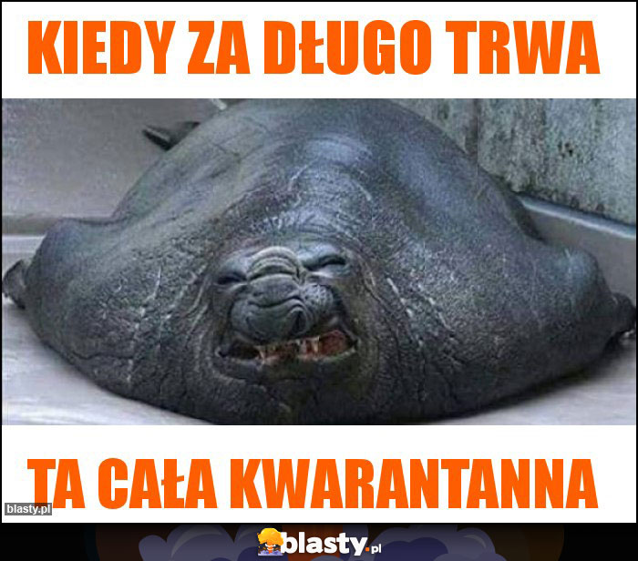 Kiedy za długo trwa