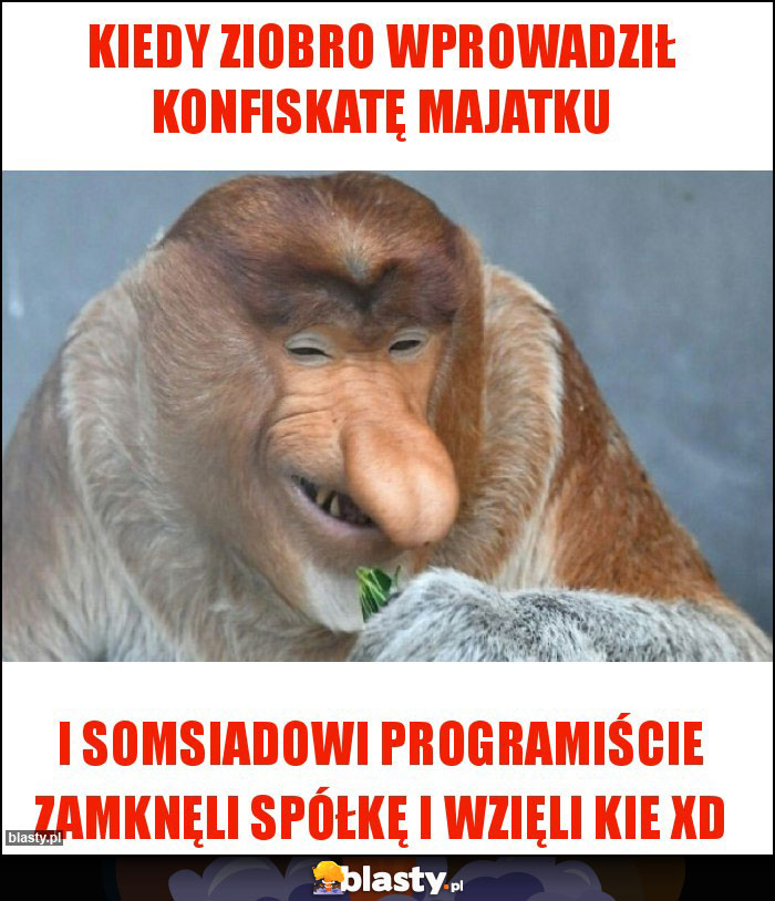 Kiedy Ziobro wprowadził konfiskatę majatku