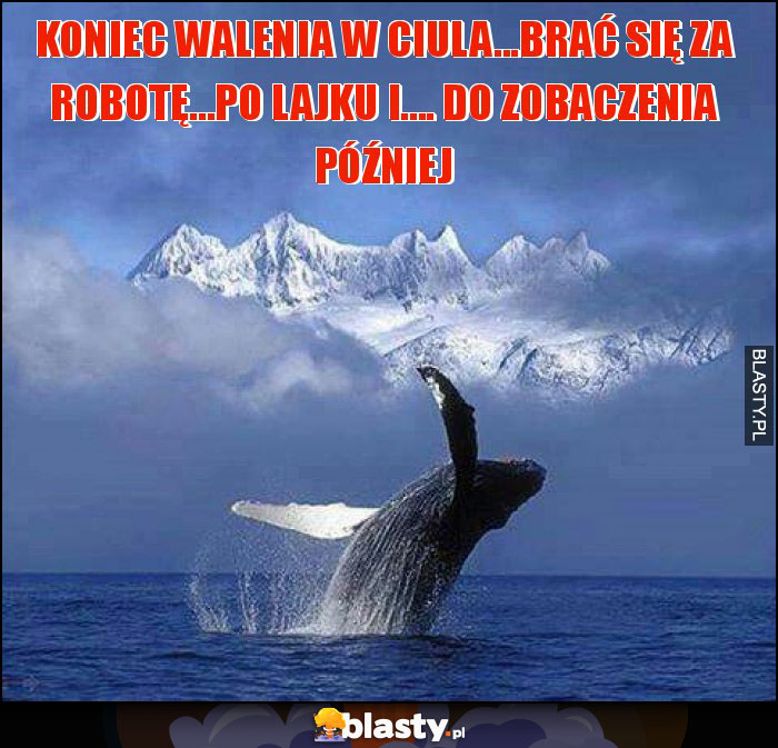 koniec walenia w ciula...brać się za robotę...po lajku i.... do zobaczenia później
