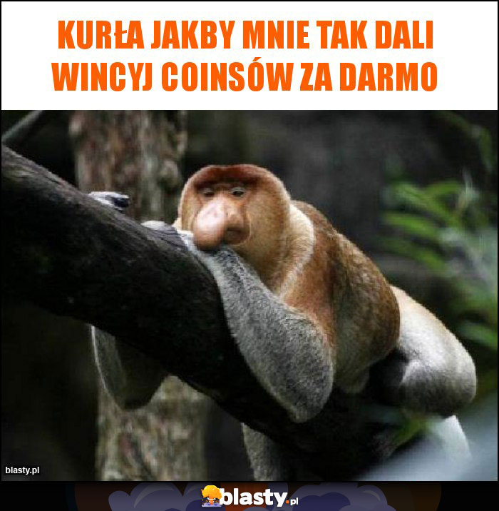 Kurła jakby mnie tak dali wincyj coinsów za darmo