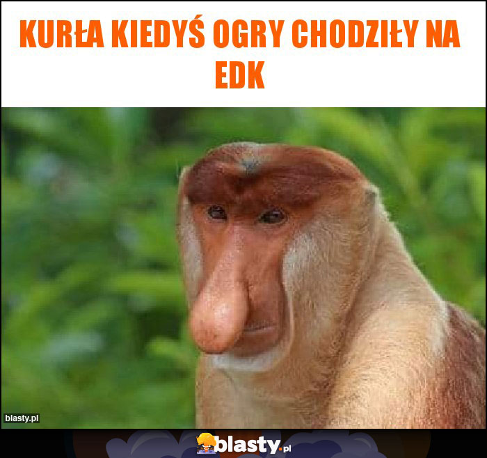 Kurła kiedyś ogry chodziły na edk