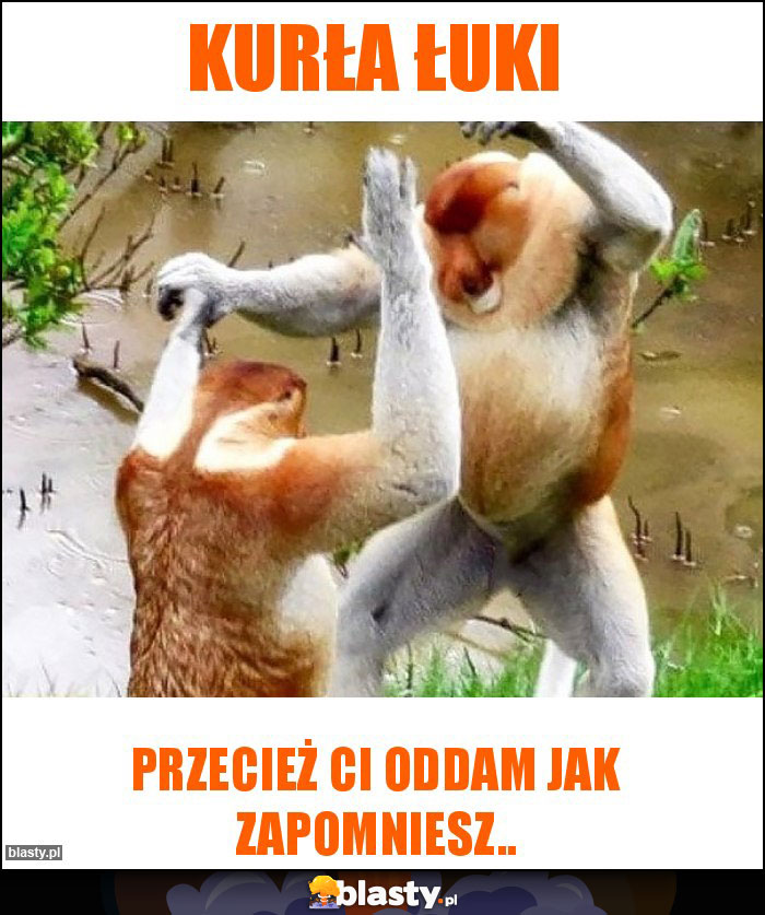 Kurła Łuki