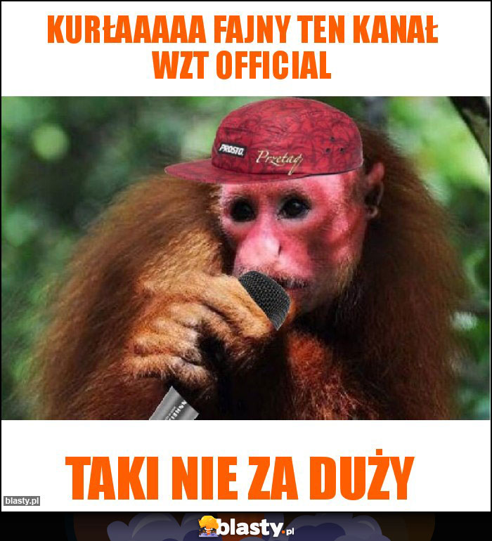 Kurłaaaaa fajny ten kanał WZT Official
