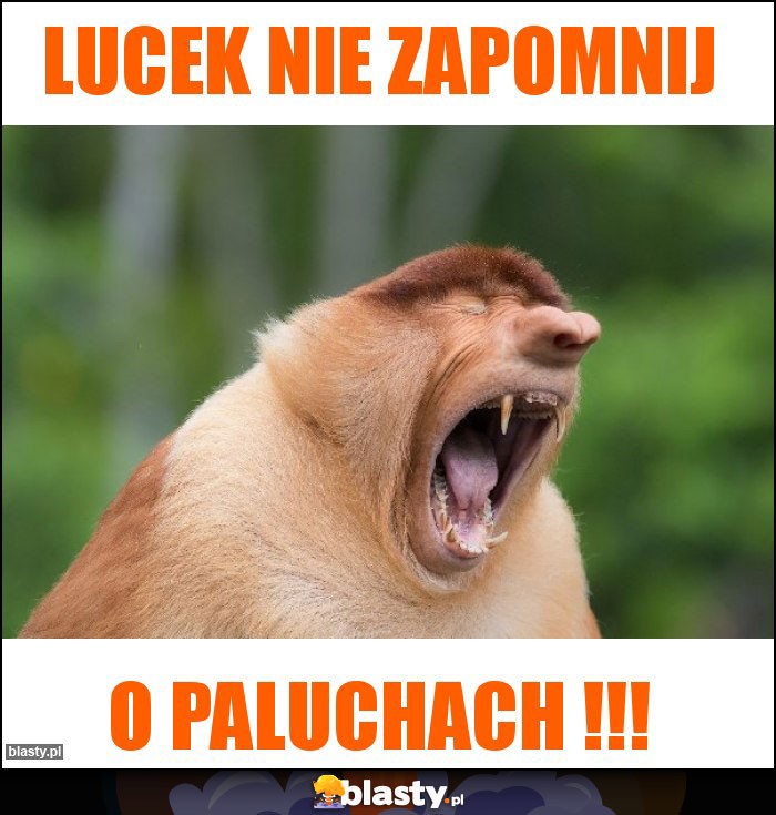 Lucek nie zapomnij