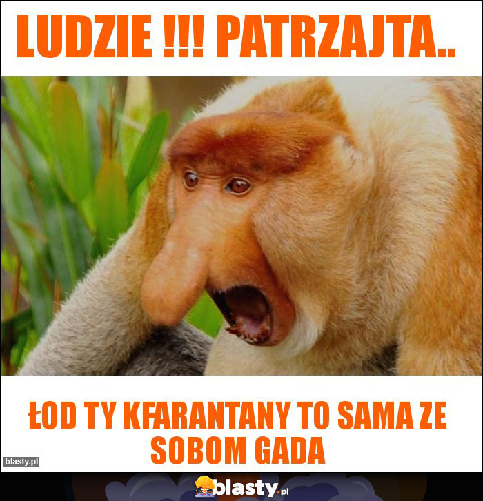 LUDZIE !!! patrzajta..