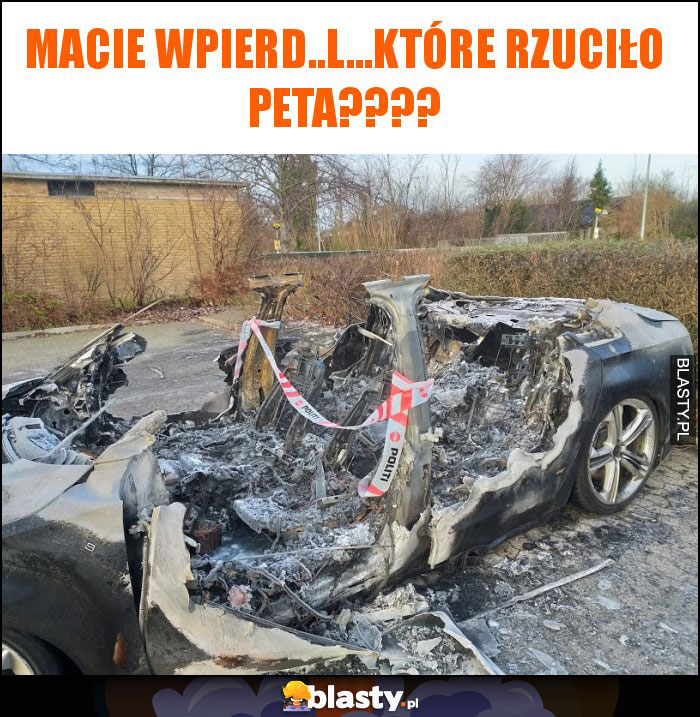 macie wpierd..l...które rzuciło peta????