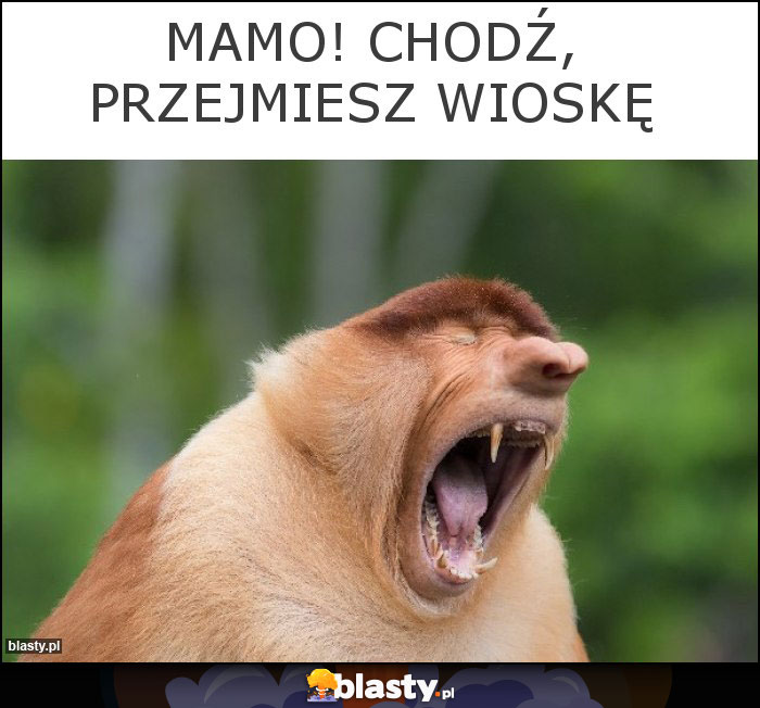Mamo! Chodź, przejmiesz wioskę