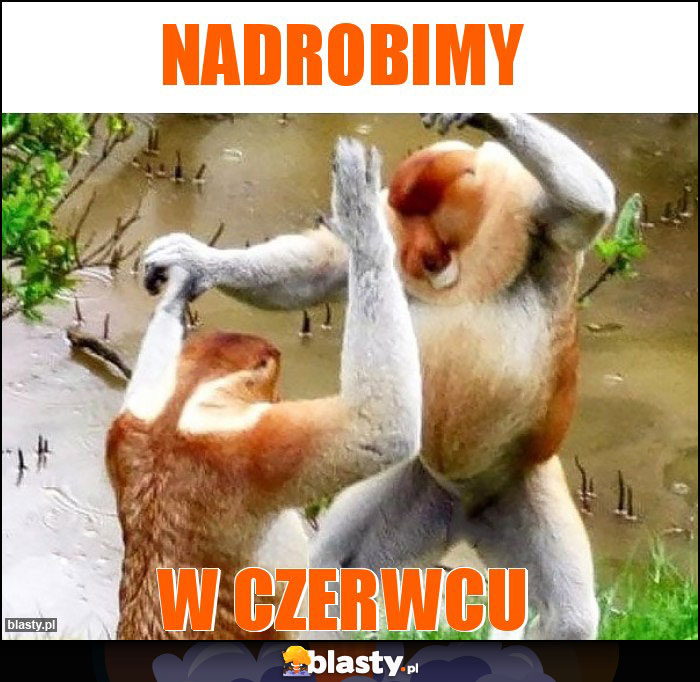 Nadrobimy