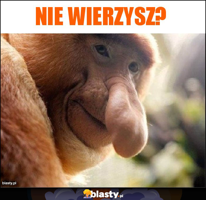 Nie wierzysz?