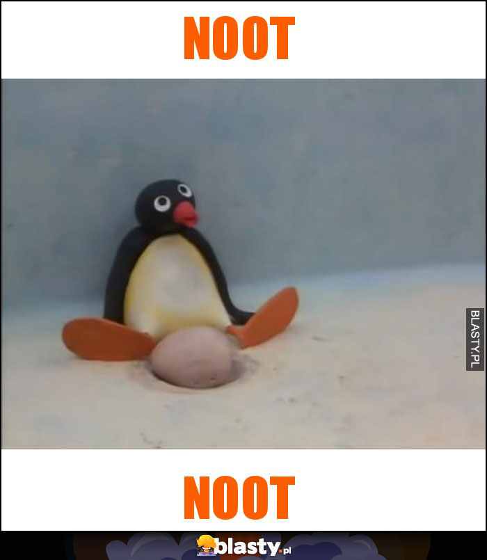 NOOT