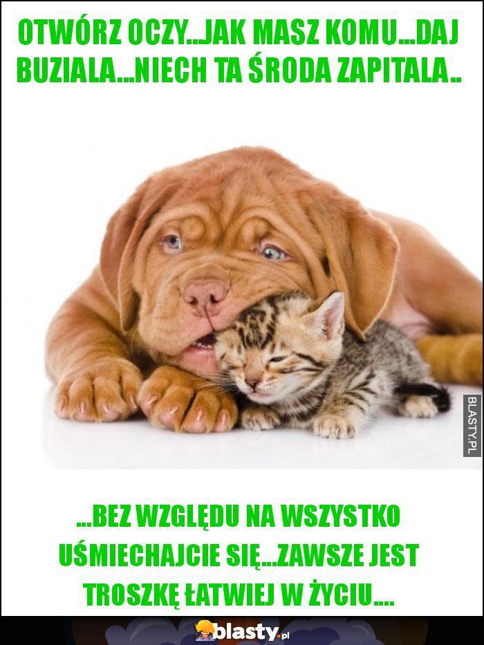 Otwórz oczy...jak masz komu...daj buziala...niech ta środa zapitala..