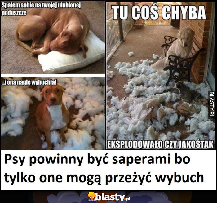 Pieseł saper