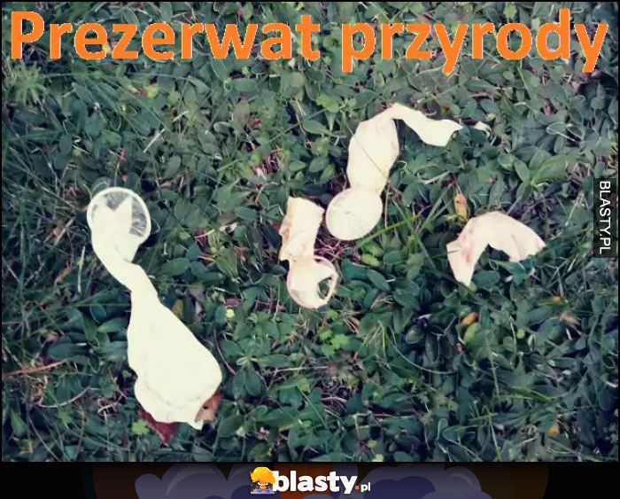 Prezerwat przyrody