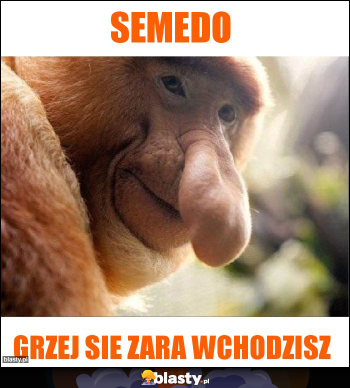 Semedo
