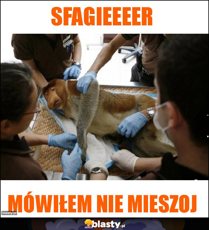 Sfagieeeer