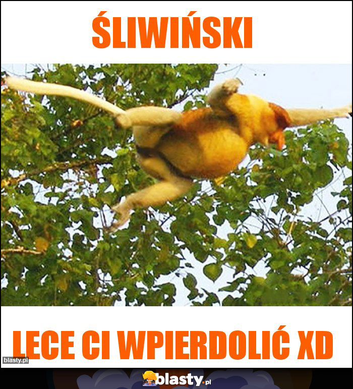 ŚLIWIŃSKI