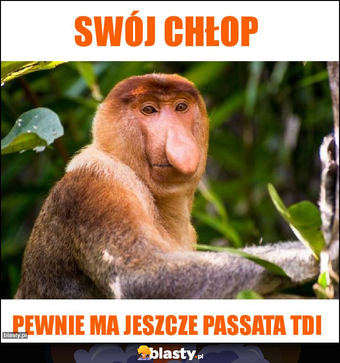 Swój chłop