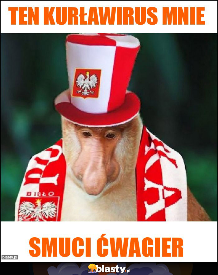 Ten kurławirus mnie