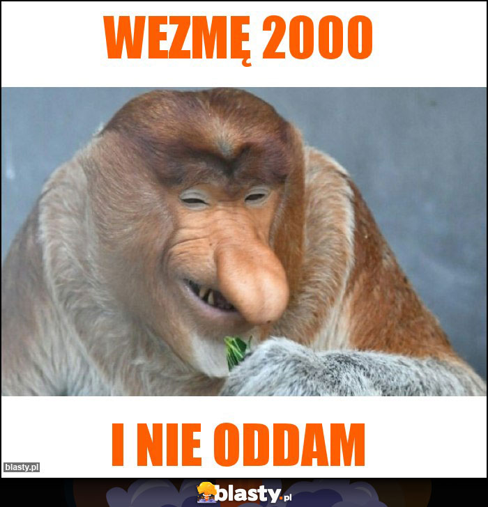 Wezmę 2000