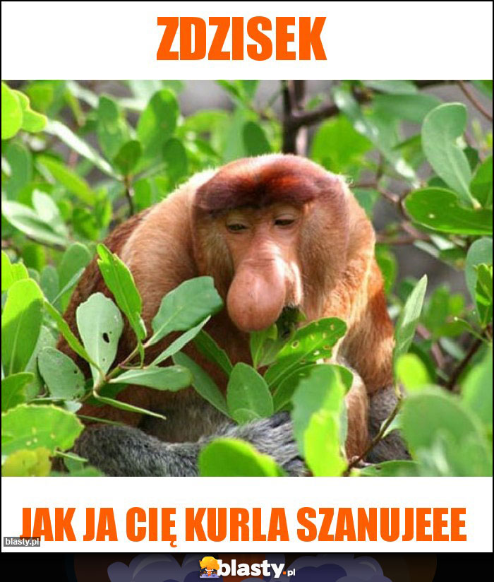 Zdzisek