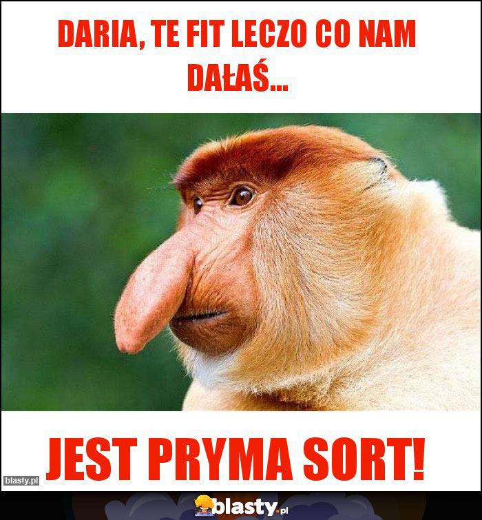 Daria, te fit leczo co nam dałaś...