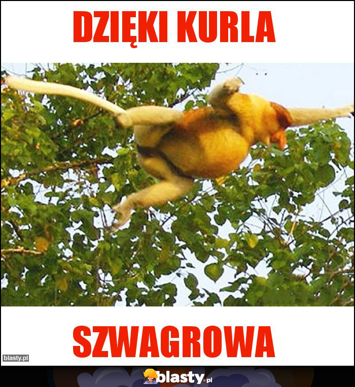 Dzięki Kurla