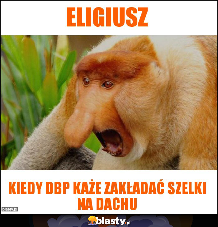 ELIGIUSZ