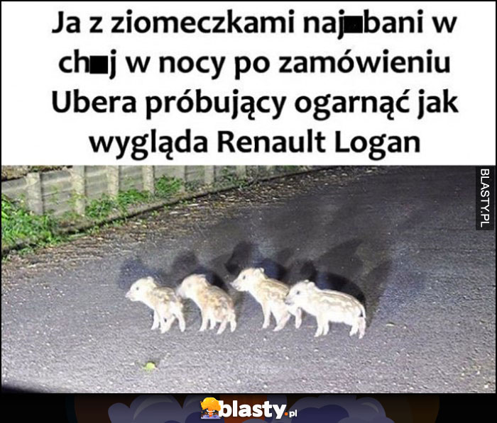 Ja z ziomeczkami nawaleni w nocy po zamówieniu Ubera próbujący ogarnąć jak wygląda Renault Logan dziki świnie