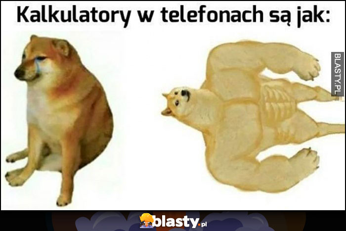 Kalkulatory w telefonach są jak pieseł doge pionowo vs poziomo