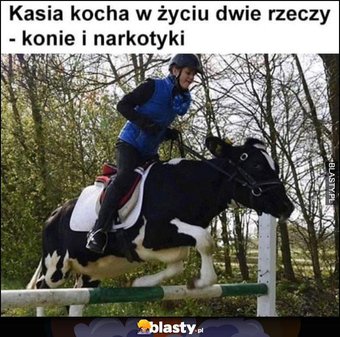 Kasia kocha w życiu dwie rzeczy - konie i narkotyki, jedzie na krowie