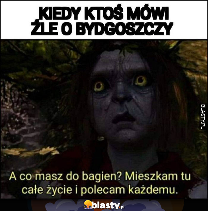 Kiedy ktoś mówi źle o Bydgoszczy, co masz do bagien? Mieszkam tu całe życie i polecam każdemu