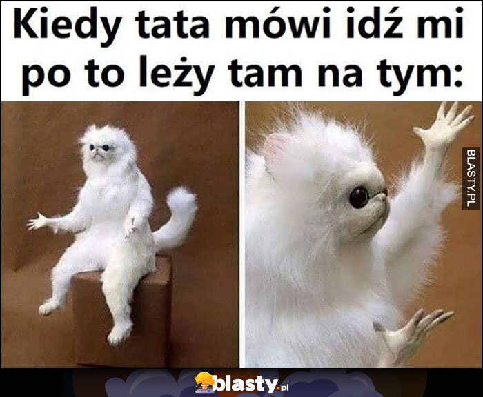 Kiedy tata mówi idź mi po to leży tam na tym