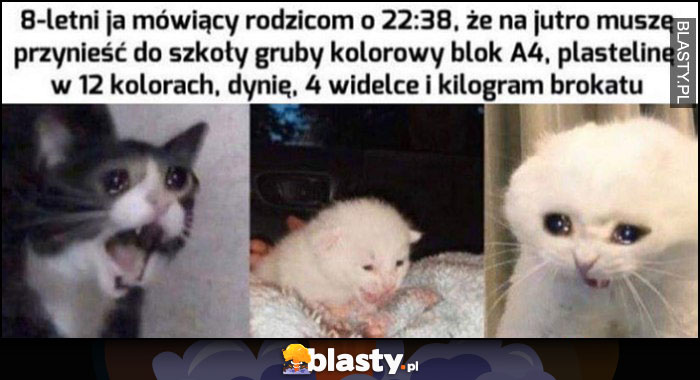 Kot koty 8-letni ja mówiący rodzicom w nocy że na jutro muszę przynieść do szkoły blok A4, plastelinę, dynię, 4 widelce i kilogram brokatu