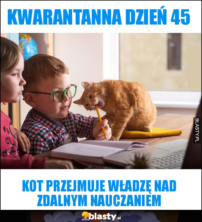 Kwarantanna dzień 45