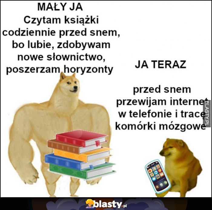 Mały ja: czytam książki, poszerzam horyzonty, ja teraz: przewijam internet i tracę komórki mózgowe pieseł doge