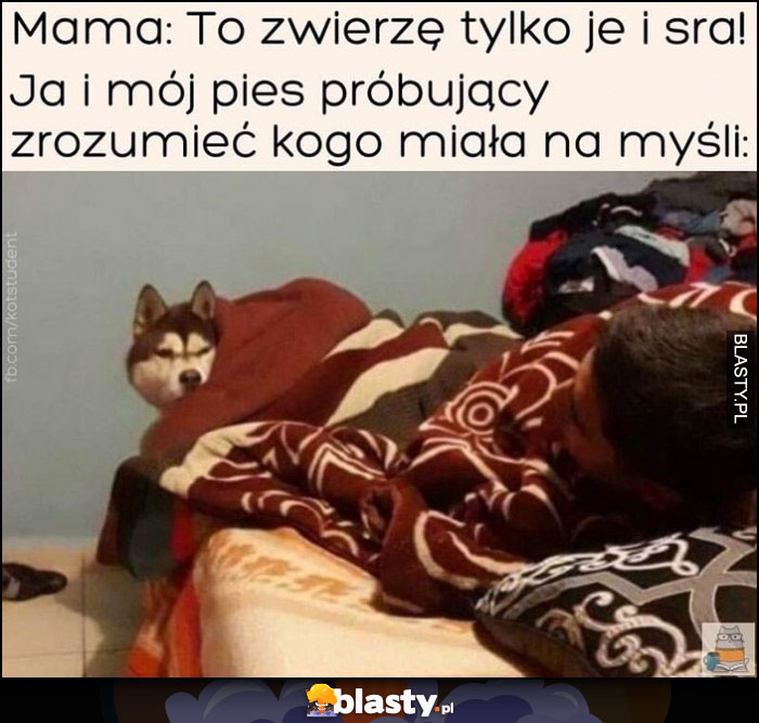 Mama: to zwierzę tylko je i sra, ja i mój pies próbujący zrozumieć kogo miała na myśli