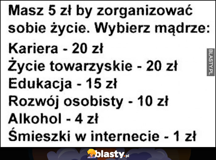 Masz 5 zł by zorganizować sobie życie, wybierz mądrze: kariera 20 zł, życie towarzystkie 20 zł, edukacja 15 zł, alkohol 4 zł, śmieszki w internecie 1 zł