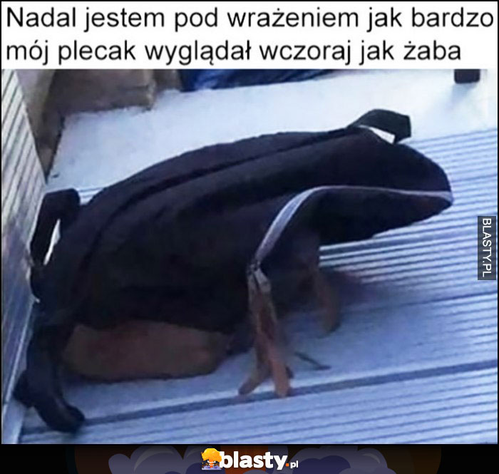 Nadal jestem pod wrażeniem jak bardzo mój plecak wyglądał wczoraj jak żaba