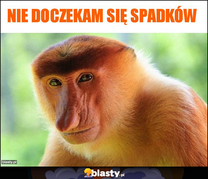 NIE DOCZEKAM SIĘ SPADKÓW