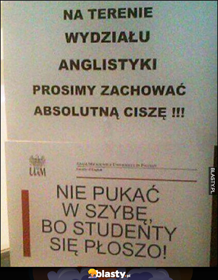 Nie pukać w szybę, bo studenty się płoszą kartka napis