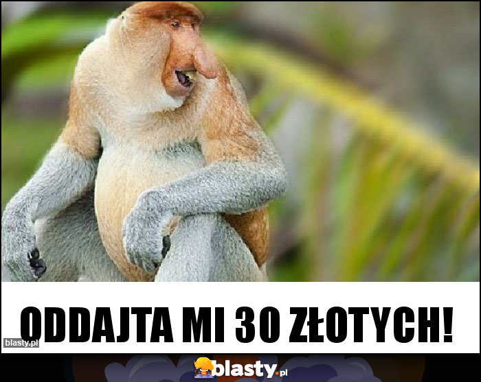 Oddajta mi 30 złotych!