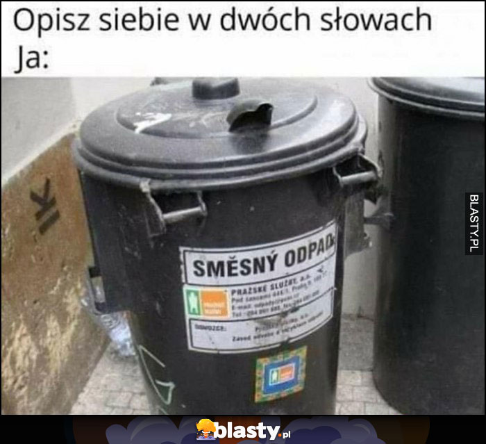 Opisz siebie w dwóch słowach, ja: śmieszny odpad Czeskie memy