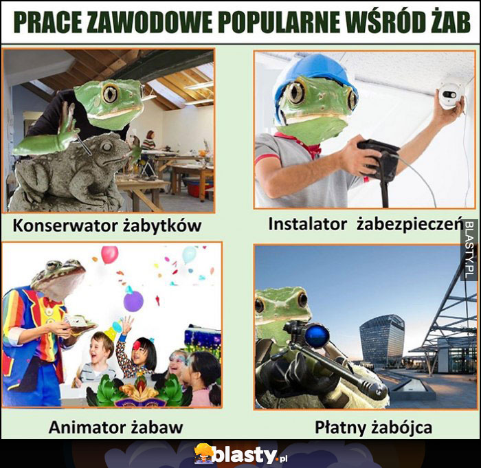 Prace zawodowe popularne wśród żab: konserwator żabytków, instalator żabezpieczeń, animator żabaw, płatny żabójca