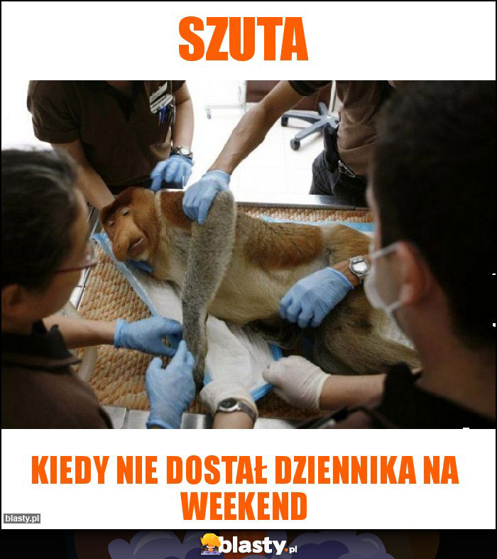 szuta