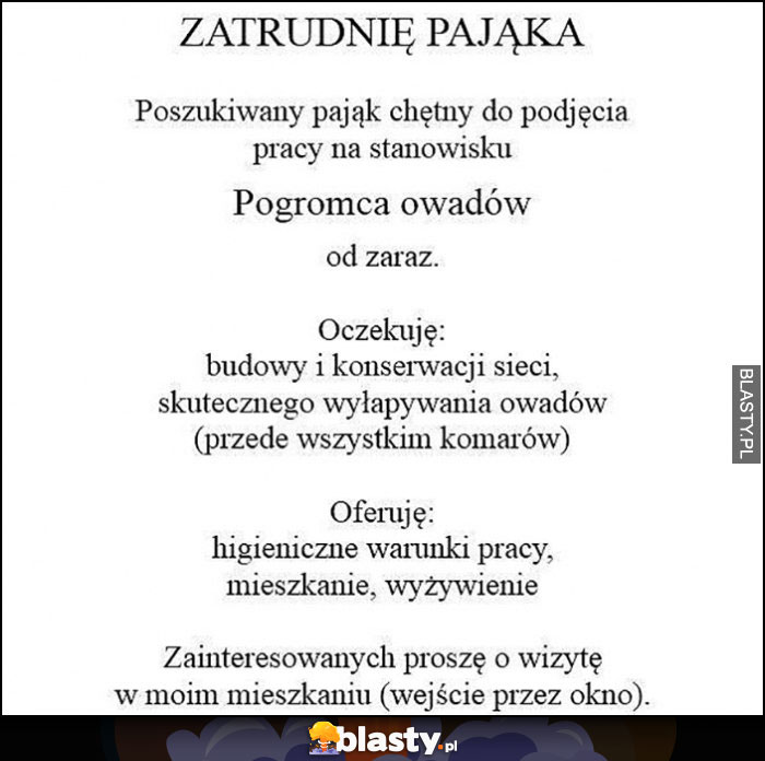 Zatrudnię pająka od zaraz do pracy na stanowisku pogromca owadów ogłoszenie o pracę