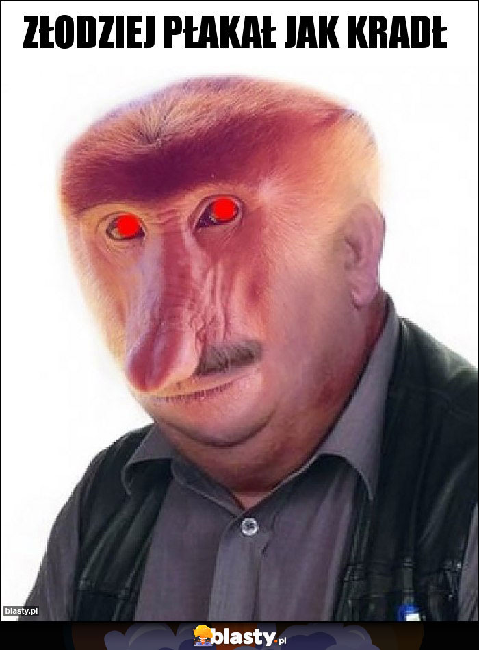 złodziej płakał jak kradł