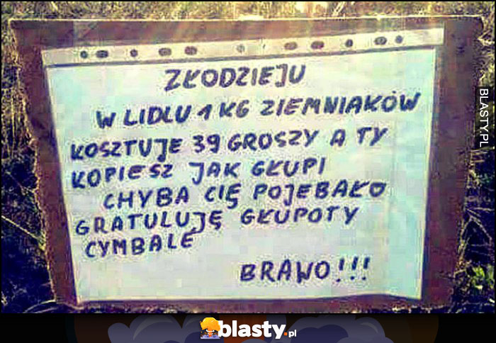 Złodzieju w Lidlu kilogram ziemniaków koszuje 39 groszy a ty kopiesz jak głupi, gratuluję cymbale kartka napis