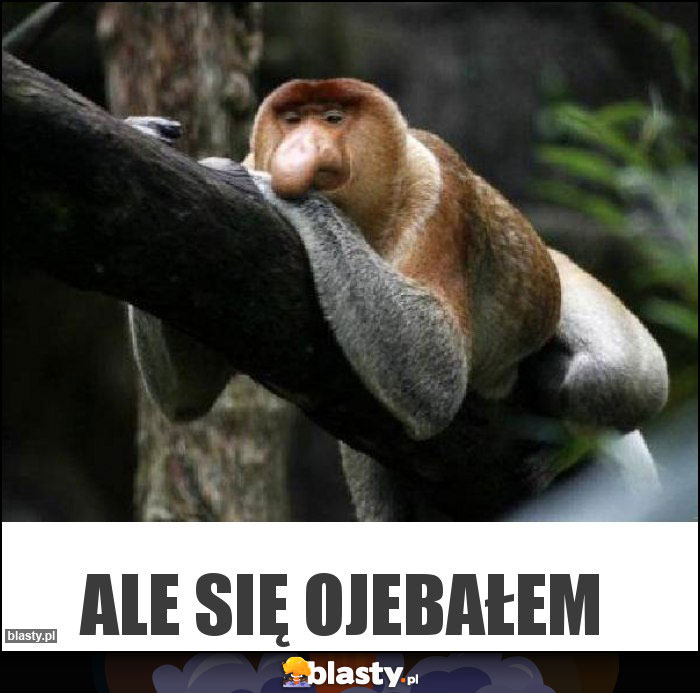 Ale się ojebałem