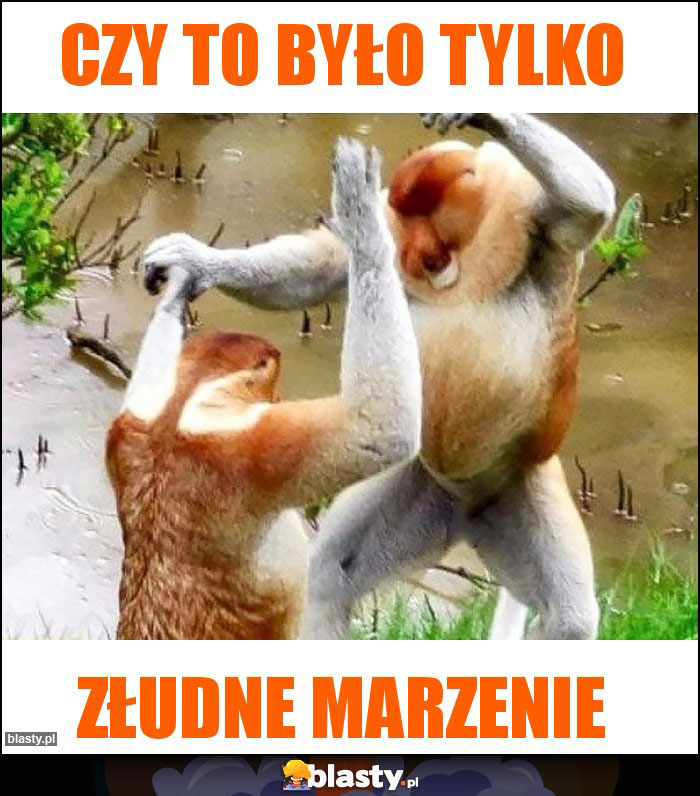 Czy to było tylko